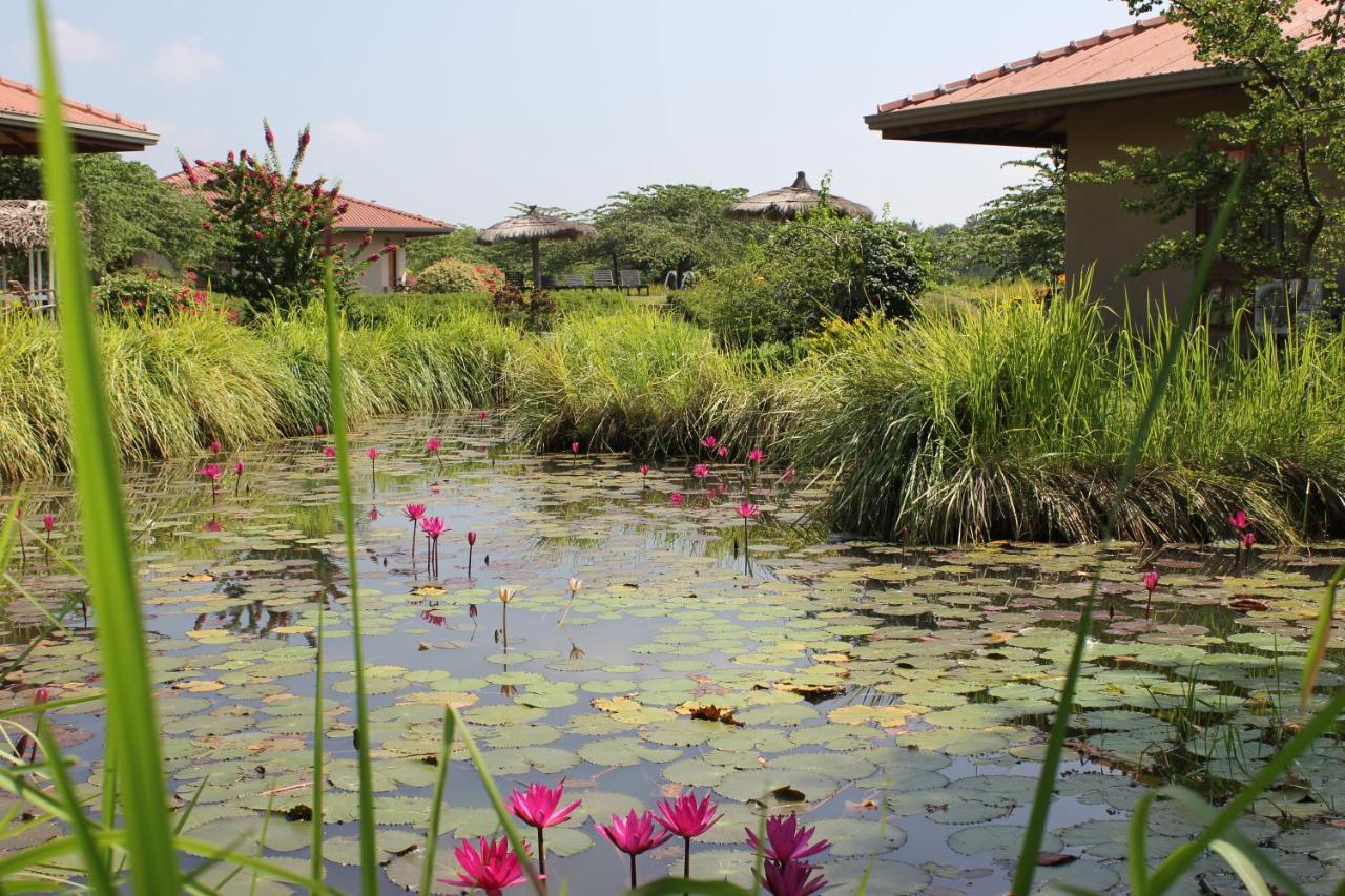 Hibiscus Garden Hotel Tissamaharama Exteriör bild