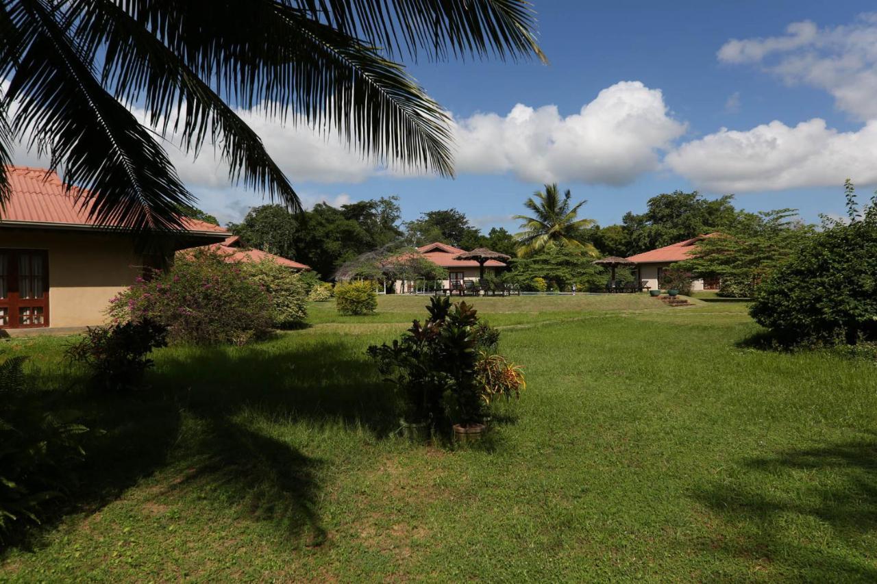 Hibiscus Garden Hotel Tissamaharama Exteriör bild